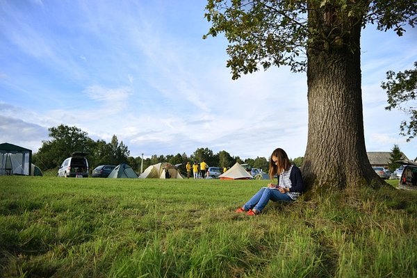 Guide ultime pour camper à arles en plein cœur de la camargue