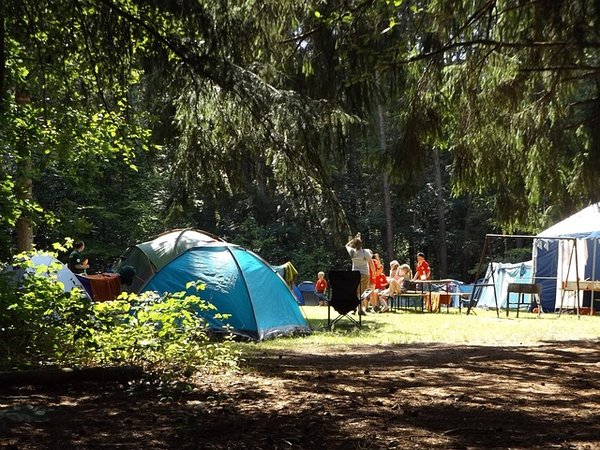 Quels sont les meilleurs sites pour trouver des campings pas chers ?